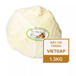 Bắp cải trắng Đà Lạt VietGap bắp từ 1.3kg (1 Bắp)