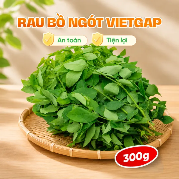Rau bồ ngót VietGAP gói 300g
