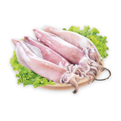 Mực ống (1 Kg)