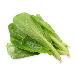 Cải xanh hướng hữu cơ gói 300g