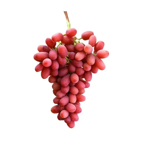 Nho đỏ Crimson Úc Grapeland túi 1kg