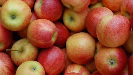 Táo Anna – Món quà từ thiên nhiên đến từ miền đất ấm áp Israel