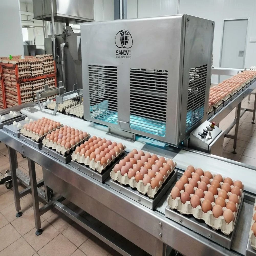 QL Vietnam Agroresources: Trang trại trứng gà hiện đại trong nhóm Tick Xanh Kingfoodmart