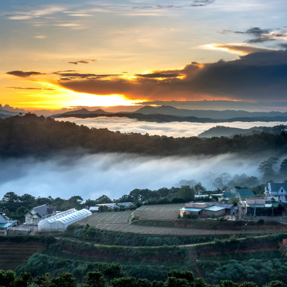 Bình minh tại Langbiang Farm – vùng đất khởi nguồn nông sản xanh tươi mát tại Đà Lạt.