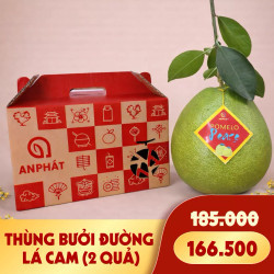 Giỏ quà bưởi đường lá cam Tân Triều hộp 2 trái (1 Hộp)