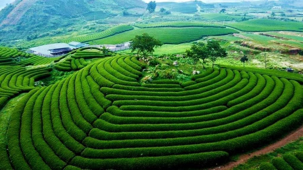 Du lịch Tết âm lịch nên đi đâu?