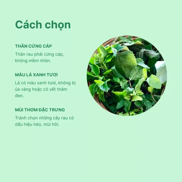 Rau thơm hỗn hợp hữu cơ VietRat gói 150g