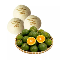 Combo 1 túi dừa xiêm + 1KG cam sành (1 Combo)