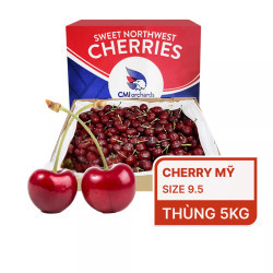 Cherry Mỹ thùng 5kg (1 Thùng)