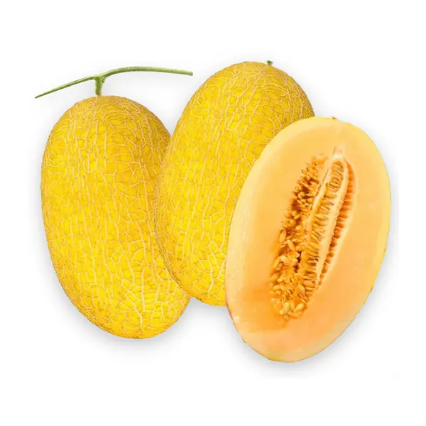 Dưa lưới vỏ vàng ruột cam trái 2Kg