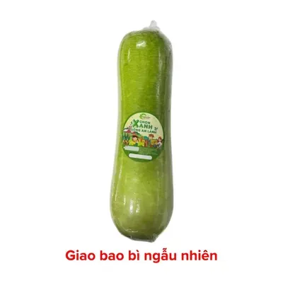 Bầu VietGAP quả từ 500g