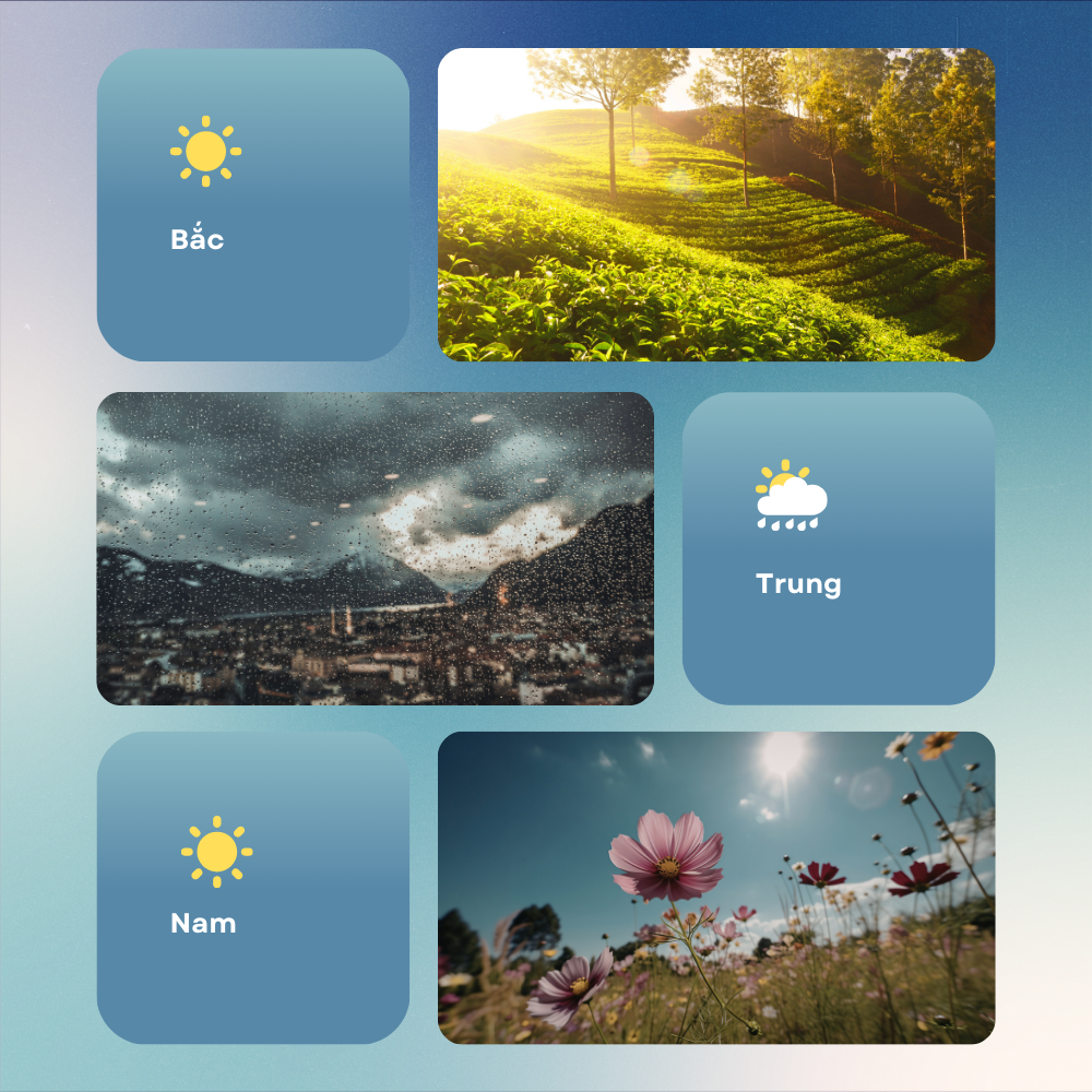 Dự báo thời tiết 3 miền Tết Nguyên Đán 2026