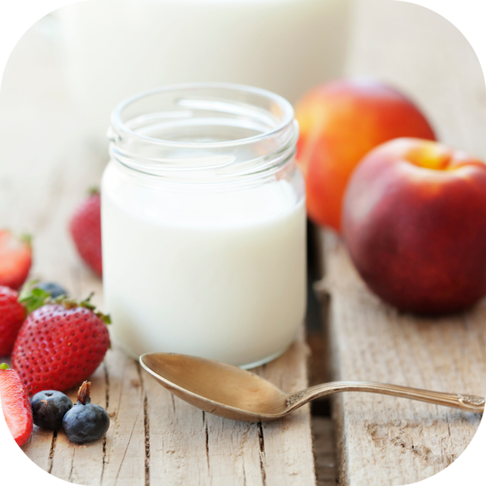 Sữa chua Kingfoodmart