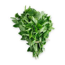 Rau ngót hướng hữu cơ RCNV gói 250g