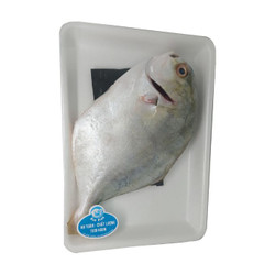Cá chim trắng làm sạch (1 kg)