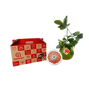 Giỏ quà bưởi da xanh hộp 2 trái (1 Hộp)