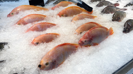 Mẹo bảo quản thịt cá vẫn giữ chất dinh dưỡng