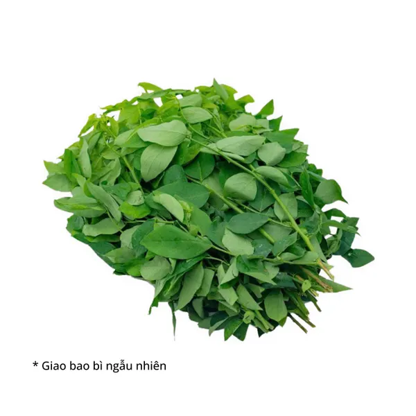 Rau bồ ngót VietGAP gói 300g