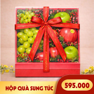 Hộp quà trái cây Sung Túc (1 Hộp)