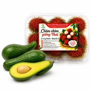 Combo bơ + chôm chôm