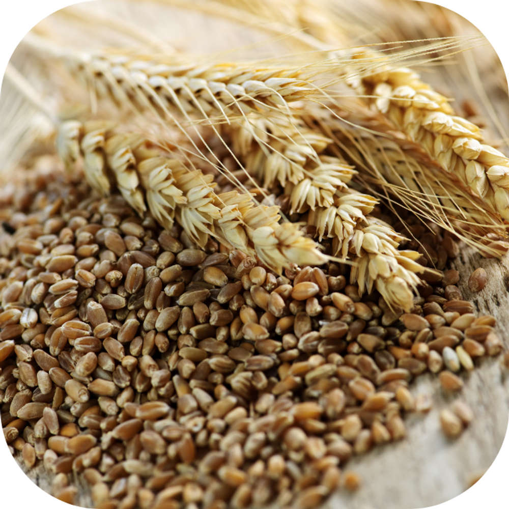 Thuc pham Kingfoodmart