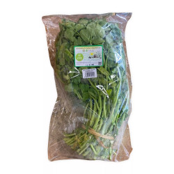 Xà lách xoong Đà Lạt PTFARM gói 500g (1 Gói)