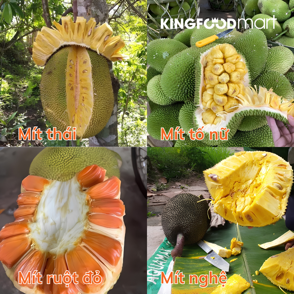 Hương vị đặc trưng của các loại mít nổi tiếng Việt Nam.