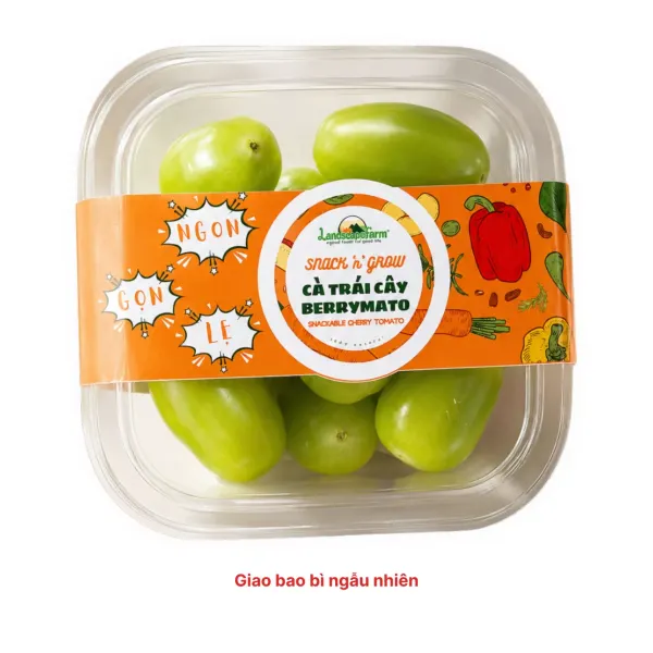 Cà chua xanh ngọc bích GlobalGAP vỉ 250g
