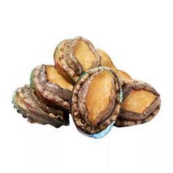 Bào ngư Trần Gia gói 300g (1 Gói)