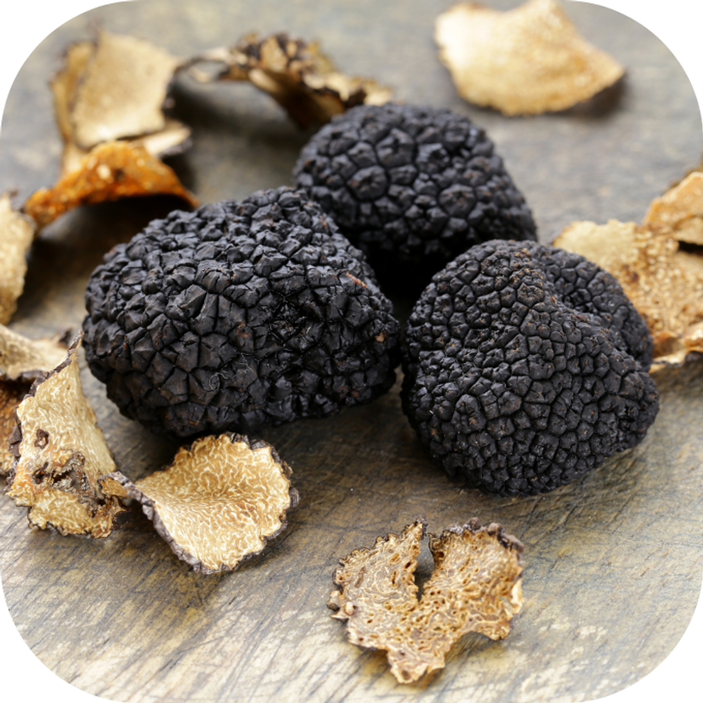 Nấm Truffle Kingfoodmart