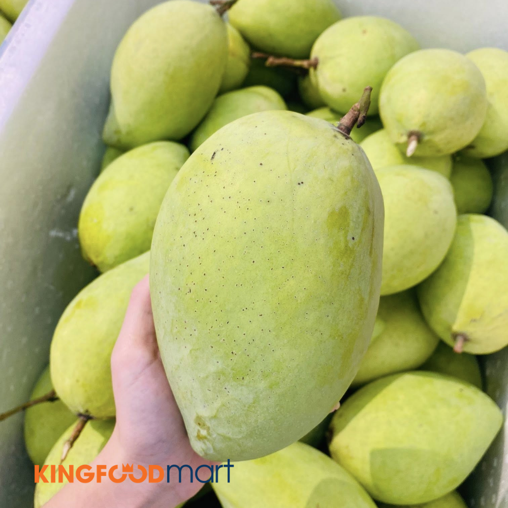 Bí quyết chọn xoài cát Hòa Lộc ngon chuẩn vị để không mua nhầm dù giá xoài cát Hòa Lộc hôm nay cao hay thấp. 