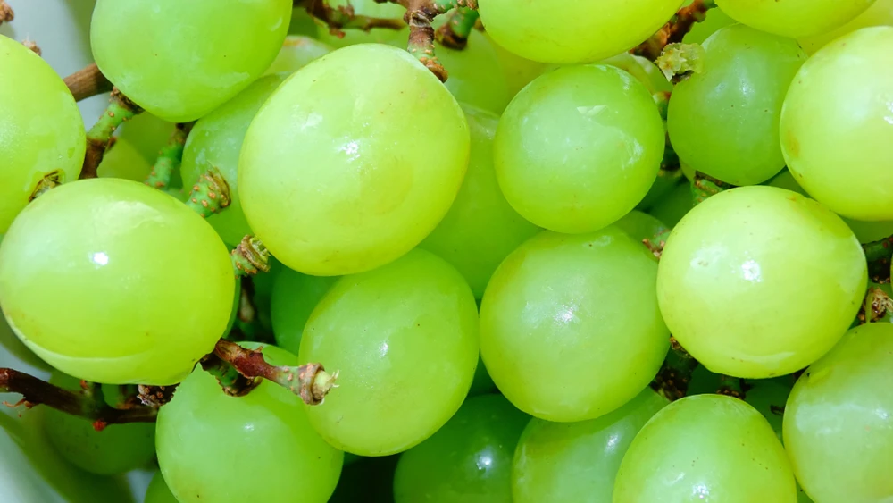 Nho xanh Green Muscat