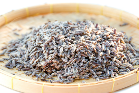 Có nên tiêu thụ gạo mốc hay không?