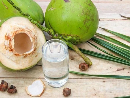 Thực hư tác dụng và tác hại của việc uống nước dừa với lá trầu không