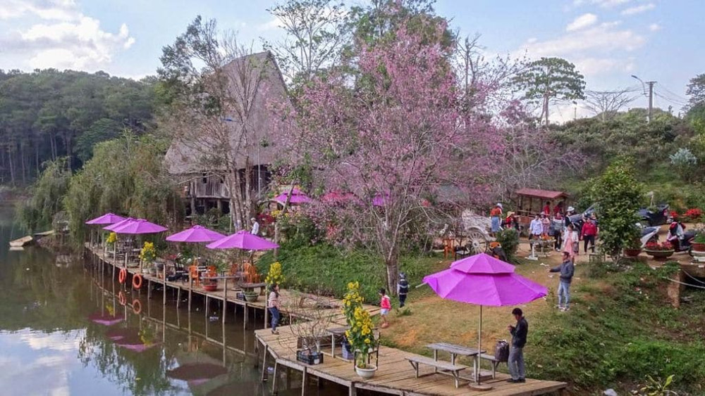 Du lịch Tết âm lịch nên đi đâu?