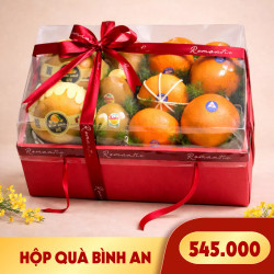 Hộp quà trái cây Bình An (1 Hộp)