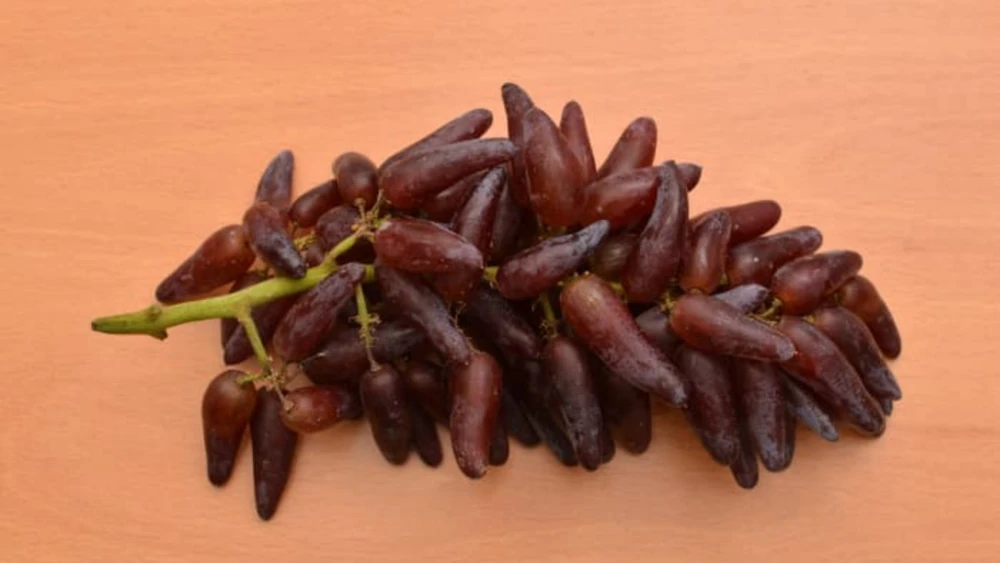 Hình dáng và hương vị của nho đen móng tay