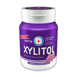 Kẹo gum Blueberry Xylitol hũ 55.1g