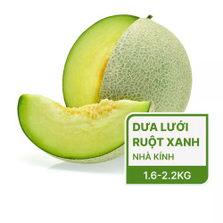 Dưa lưới ruột xanh Nhật Ichiba quả 1.5kg (1 Quả)