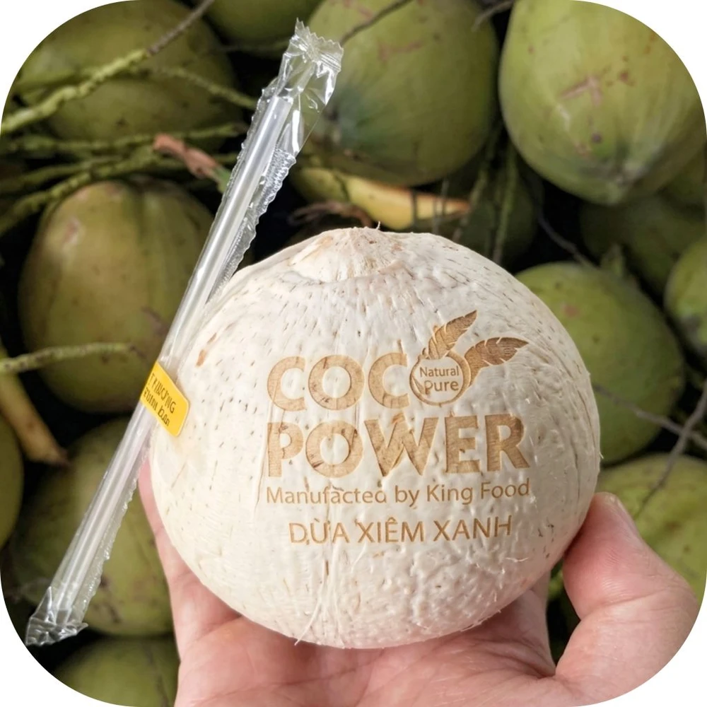 Coco-Power-9