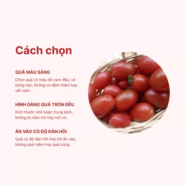 Cà chua trứng VietGAP vỉ 400g