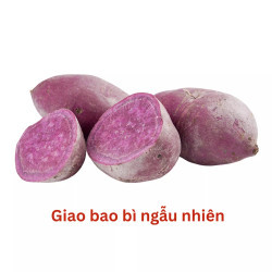 Khoai lang tím xuất khẩu túi 500g (1 Túi)