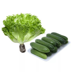 Combo xà lách thủy tinh và dưa leo baby