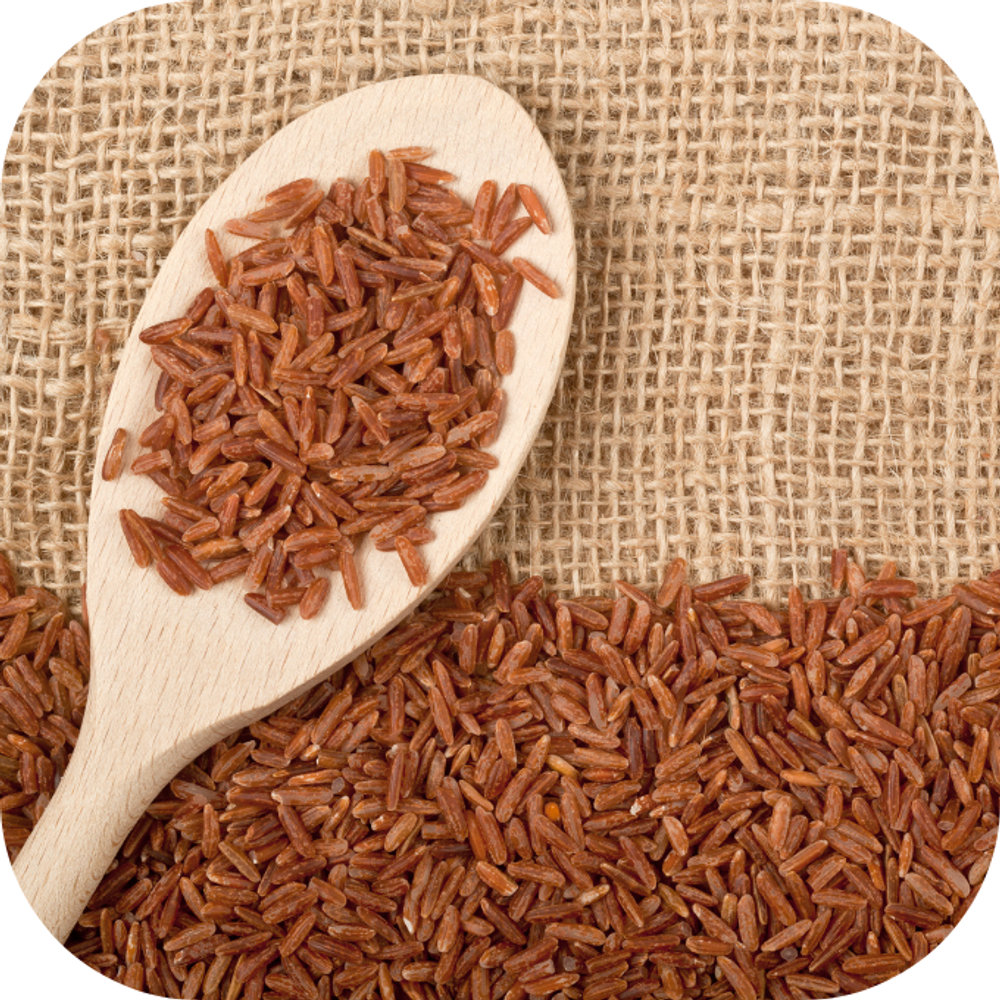 top gạo bán chạy kingfoodmart