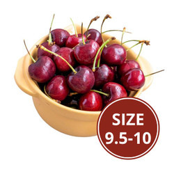 Cherry Canada size 9.5-10 (5Kg)