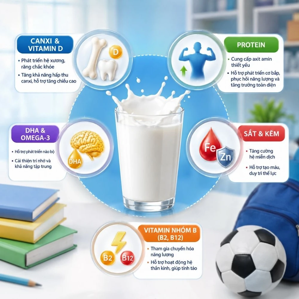 Thành phần dinh dưỡng thiết yếu trong sữa cho học sinh hỗ trợ phát triển xương và trí não. (Ảnh được tạo bởi AI)