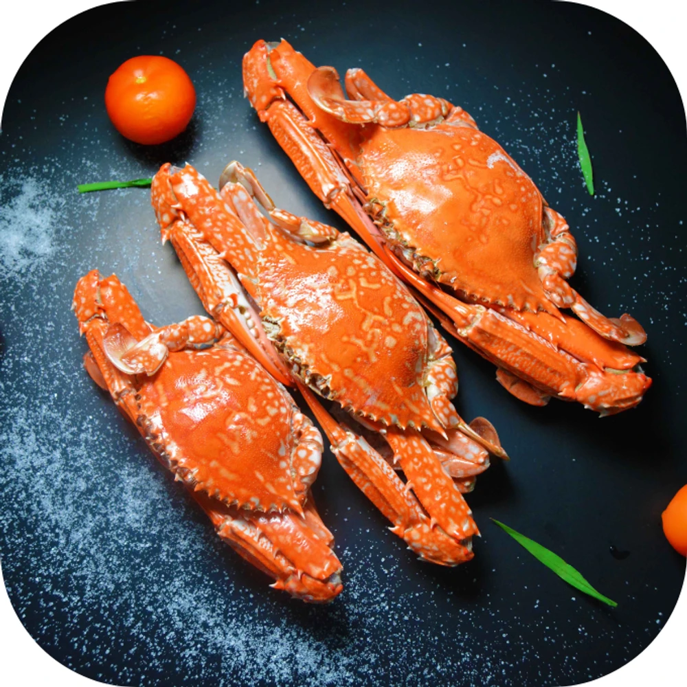 Ghẹ Kingfoodmart