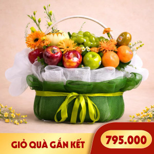Giỏ quà trái cây Gắn Kết (1 Giỏ)