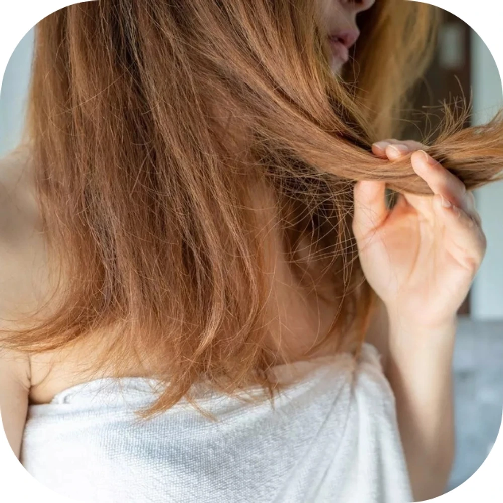 Tóc hư tổn
