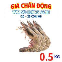 Tôm sú quảng canh 0.5kg (20-25 con/kg)